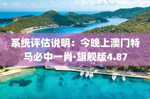 系統評估說明：今晚上澳門特馬必中一肖·旗艦版4.87