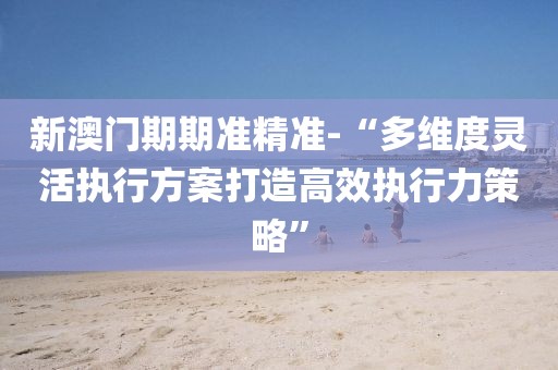 新澳門期期準精準-“多維度靈活執行方案打造高效執行力策略”