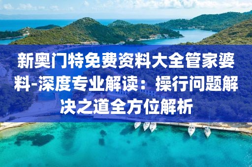 新奧門特免費資料大全管家婆料-深度專業解讀：操行問題解決之道全方位解析