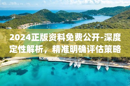 2024正版資料免費公開-深度定性解析，精準明確評估策略