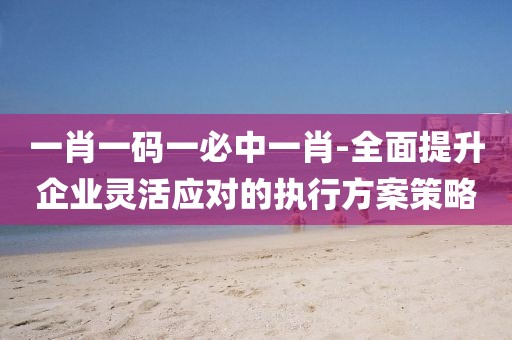一肖一碼一必中一肖-全面提升企業靈活應對的執行方案策略