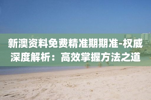 新澳資料免費精準期期準-權威深度解析：高效掌握方法之道