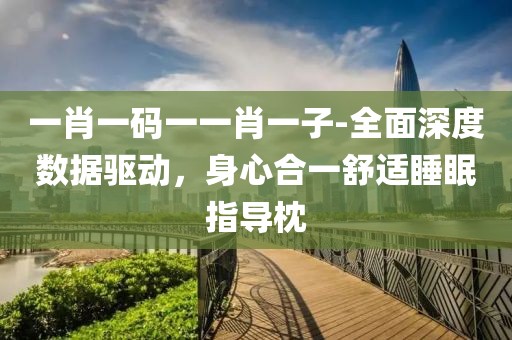 一肖一碼一一肖一子-全面深度數據驅動，身心合一舒適睡眠指導枕