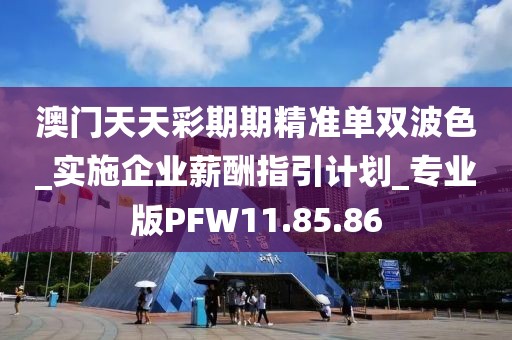 澳門天天彩期期精準單雙波色_實施企業薪酬指引計劃_專業版PFW11.85.86