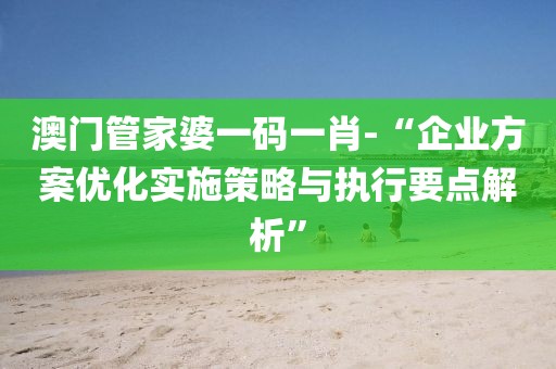 澳門管家婆一碼一肖-“企業方案優化實施策略與執行要點解析”