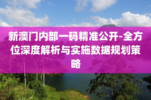 新澳門內部一碼精準公開-全方位深度解析與實施數據規劃策略