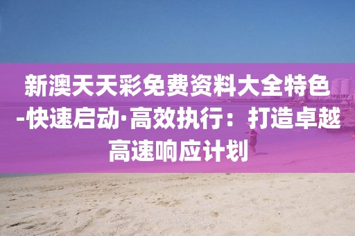 新澳天天彩免費資料大全特色-快速啟動·高效執行：打造卓越高速響應計劃