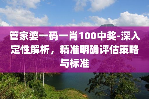 管家婆一碼一肖100中獎-深入定性解析，精準明確評估策略與標準