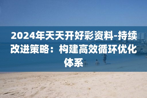 2024年天天開好彩資料-持續改進策略：構建高效循環優化體系