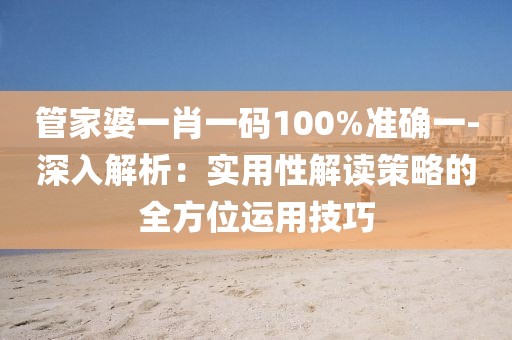 管家婆一肖一碼100%準確一-深入解析：實用性解讀策略的全方位運用技巧