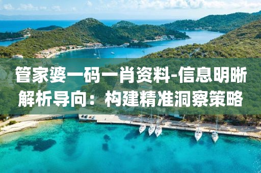 管家婆一碼一肖資料-信息明晰解析導向：構建精準洞察策略
