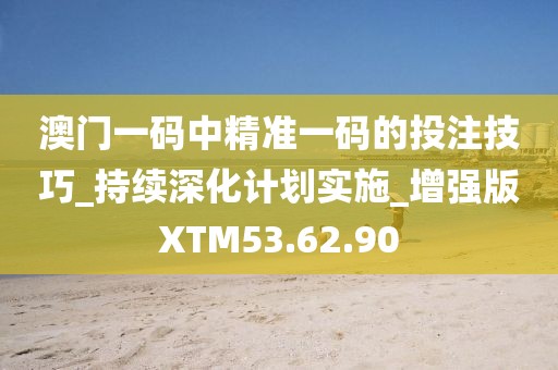 澳門一碼中精準一碼的投注技巧_持續深化計劃實施_增強版XTM53.62.90