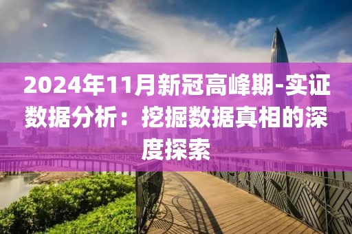 2024年11月新冠高峰期-實證數據分析：挖掘數據真相的深度探索