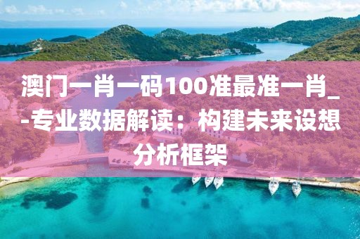 澳門一肖一碼100準最準一肖_-專業數據解讀：構建未來設想分析框架