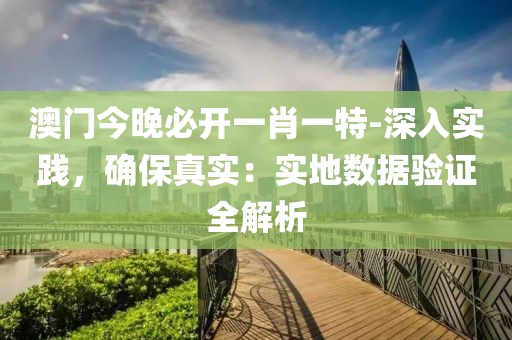 澳門今晚必開一肖一特-深入實踐，確保真實：實地數據驗證全解析