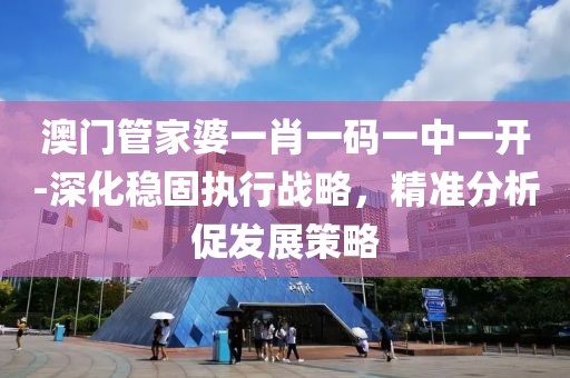 澳門管家婆一肖一碼一中一開-深化穩固執行戰略，精準分析促發展策略
