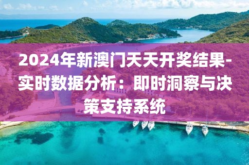 2024年新澳門天天開獎結果-實時數據分析：即時洞察與決策支持系統