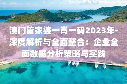 澳門管家婆一肖一碼2023年-深度解析與全面整合：企業全面數據分析策略與實踐