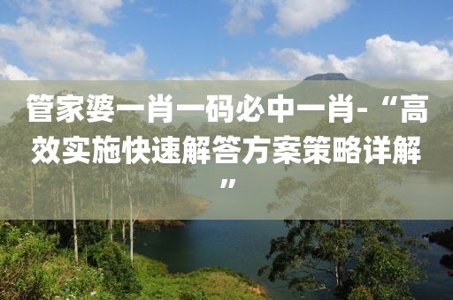 管家婆一肖一碼必中一肖-“高效實施快速解答方案策略詳解”