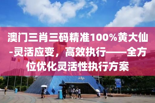 澳門三肖三碼精準100%黃大仙-靈活應變，高效執行——全方位優化靈活性執行方案