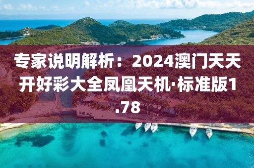 專家說明解析：2024澳門天天開好彩大全鳳凰天機·標準版1.78