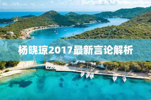 楊曉瓊2017最新言論解析