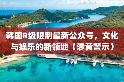 韓國R級限制最新公眾號，文化與娛樂的新領地（涉黃警示）