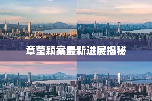 章瑩穎案最新進展揭秘