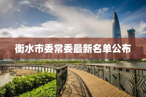 衡水市委常委最新名單公布