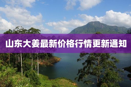山東大姜最新價格行情更新通知
