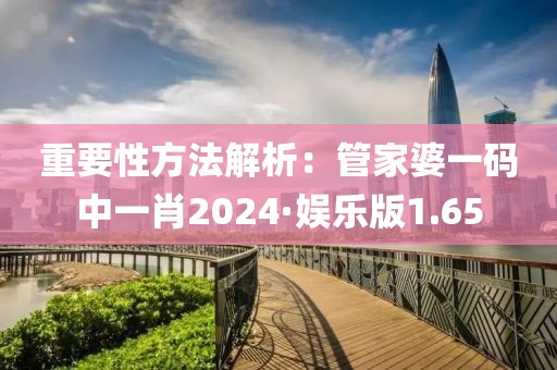 重要性方法解析：管家婆一碼中一肖2024·娛樂版1.65