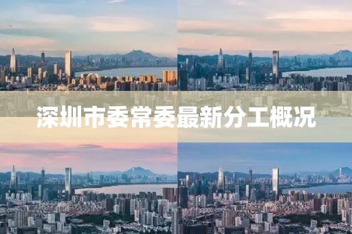 深圳市委常委最新分工概況