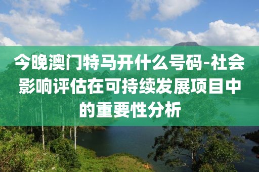 今晚澳門特馬開什么號碼-社會影響評估在可持續發展項目中的重要性分析