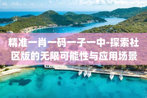 精準一肖一碼一子一中-探索社區版的無限可能性與應用場景