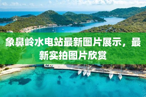 象鼻嶺水電站最新圖片展示，最新實拍圖片欣賞