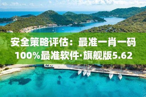 安全策略評估：最準一肖一碼100%最準軟件·旗艦版5.62
