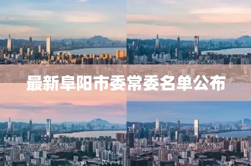 最新阜陽市委常委名單公布