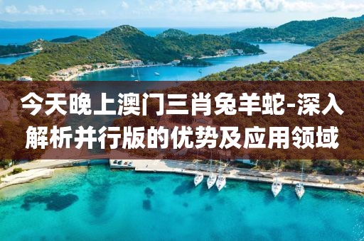 今天晚上澳門三肖兔羊蛇-深入解析并行版的優勢及應用領域