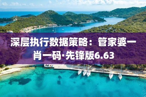 深層執行數據策略：管家婆一肖一碼·先鋒版6.63