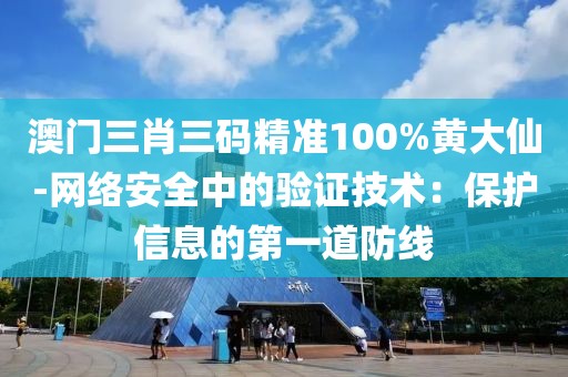 澳門三肖三碼精準100%黃大仙-網絡安全中的驗證技術：保護信息的第一道防線