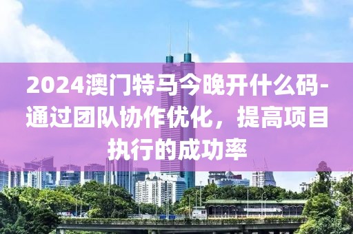 2024澳門特馬今晚開什么碼-通過團隊協作優化，提高項目執行的成功率