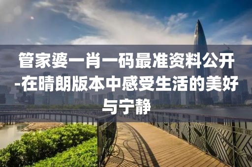管家婆一肖一碼最準資料公開-在晴朗版本中感受生活的美好與寧靜