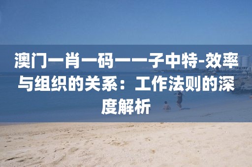 澳門一肖一碼一一子中特-效率與組織的關系：工作法則的深度解析