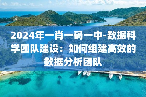 2024年一肖一碼一中-數據科學團隊建設：如何組建高效的數據分析團隊