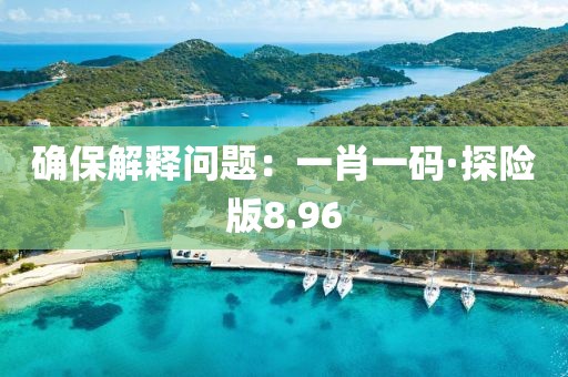 確保解釋問題：一肖一碼·探險版8.96