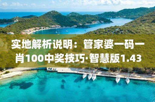 實地解析說明：管家婆一碼一肖100中獎技巧·智慧版1.43