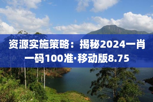 資源實施策略：揭秘2024一肖一碼100準·移動版8.75