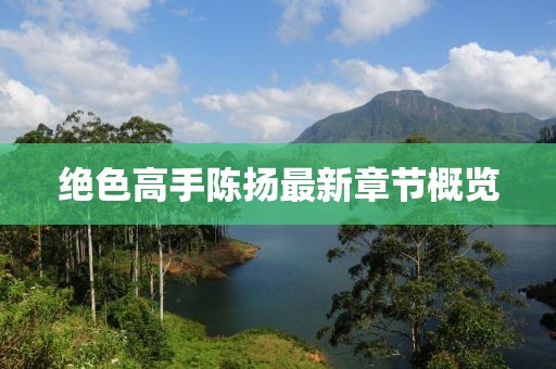 絕色高手陳揚最新章節概覽