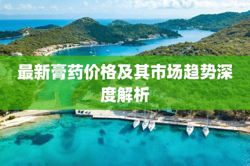 最新膏藥價格及其市場趨勢深度解析