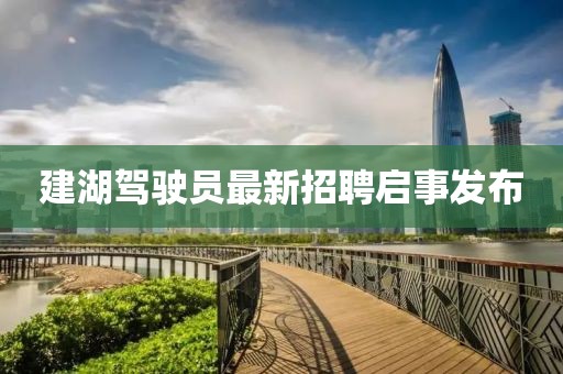 建湖駕駛員最新招聘啟事發布